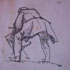 croquis12